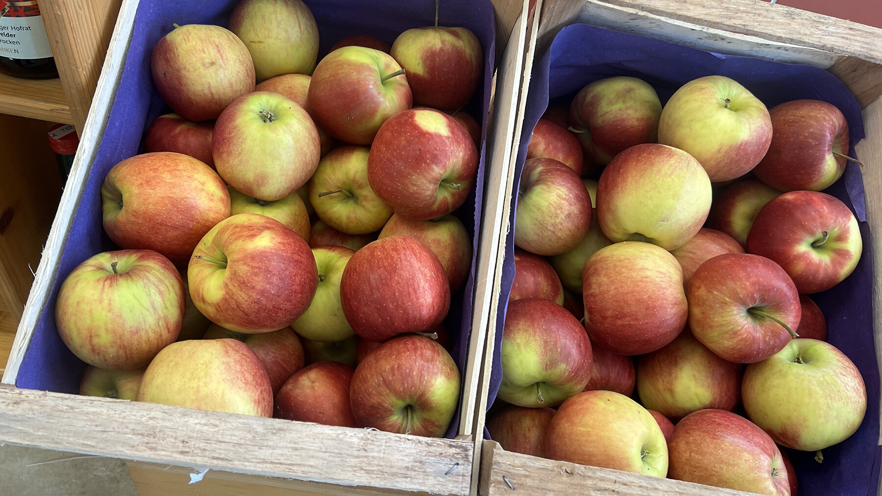 Große Fränkische Äpfel in einer Holzkiste