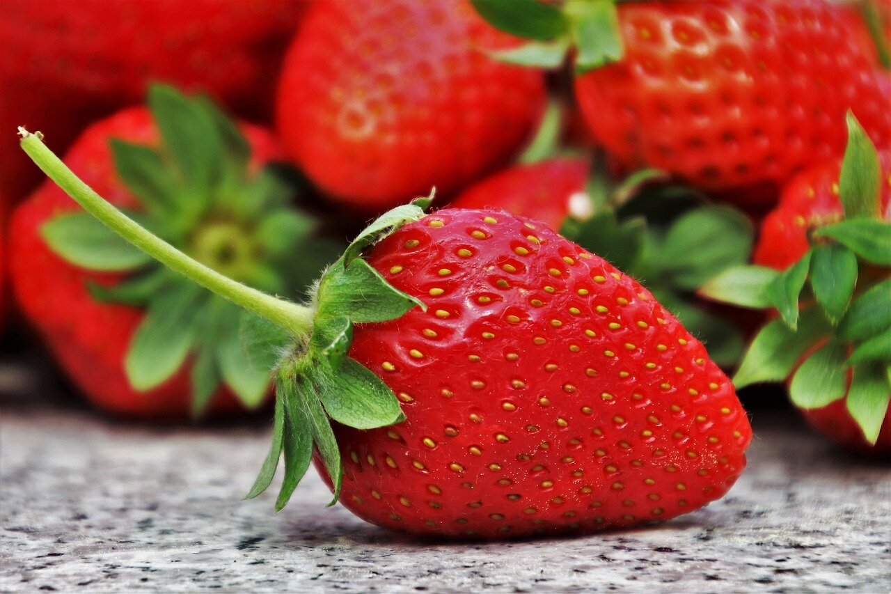 Süße Erdbeeren, frisch geerntet